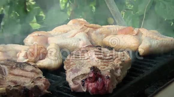 鸡肉和猪肉烧烤靠近视频的预览图