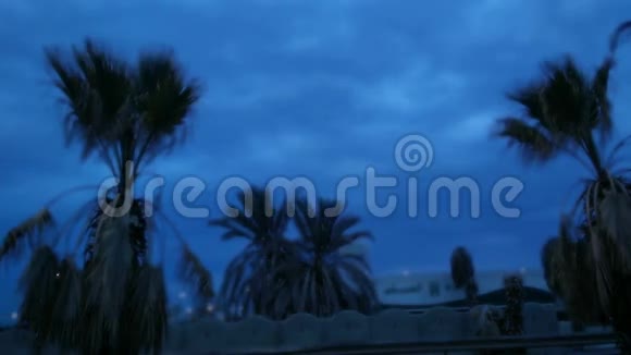 黎明时分市中心的棕榈树视频的预览图