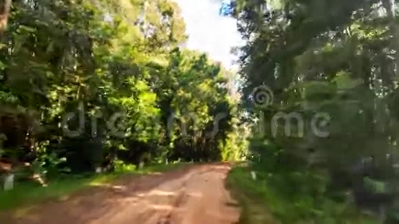 热带森林阴影地面道路上的摄像机移动视频的预览图