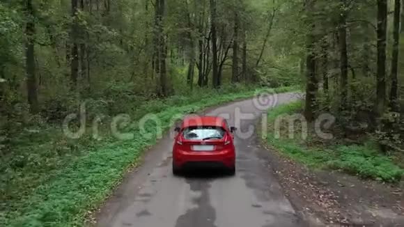 林中乡村道路上红色汽车行驶的鸟瞰图视频的预览图