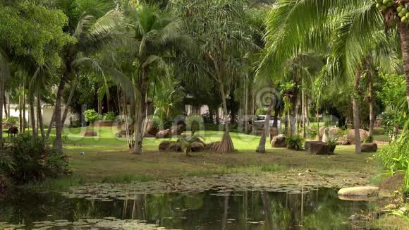 在东南亚的绿色太阳能丛林里有棕榈树的度假区4K视频的预览图