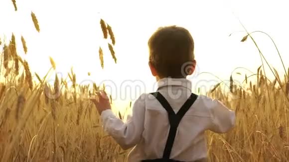 日落时分小男孩正在田野里散步视频的预览图