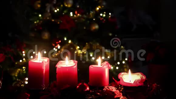 圣诞蜡烛火焰花卉一品红植物光照树背景视频的预览图