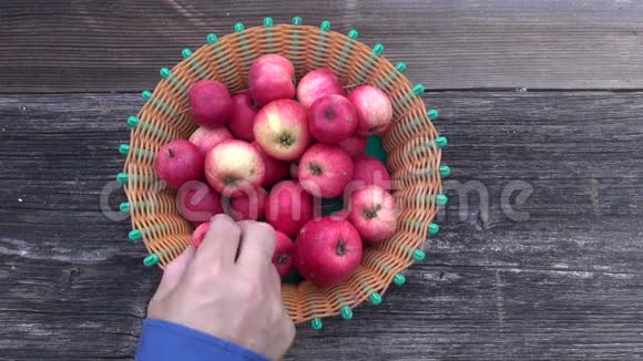 园丁用手把新鲜的红苹果放在盘子里视频的预览图