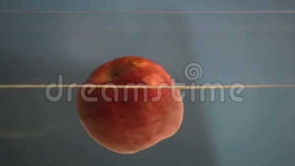 小苹果在看槽水视频的预览图