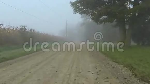 在雾中沿着安静的道路行驶视频的预览图