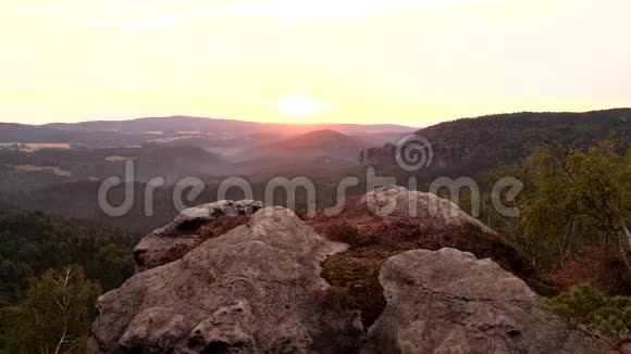 春天薄雾黎明在迷人的自然岩石帝国公园萨克森瑞士视频的预览图