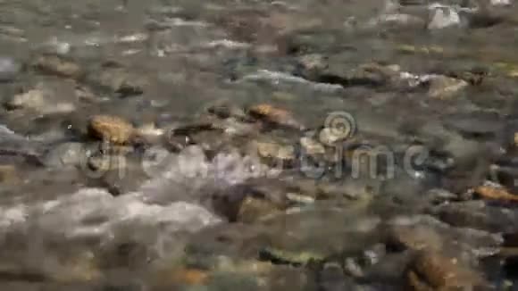 黄河附近的黄色帐篷视频的预览图