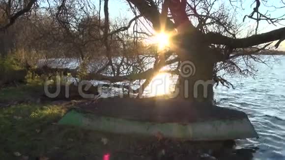 湖中日落船和老柳视频的预览图