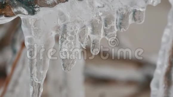 初春从屋顶上融化滴下的冰柱宏观近景透明漂亮的冰柱视频的预览图