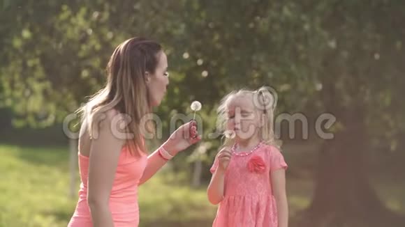 吹蒲公英快乐的妈妈和她的小女儿玩耍玩得开心年轻的白种人妈妈视频的预览图