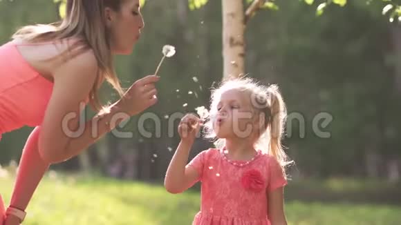 吹蒲公英快乐的妈妈和她的小女儿玩耍玩得开心年轻的白种人妈妈视频的预览图
