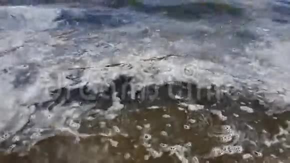 环境问题水上漂浮的垃圾视频的预览图