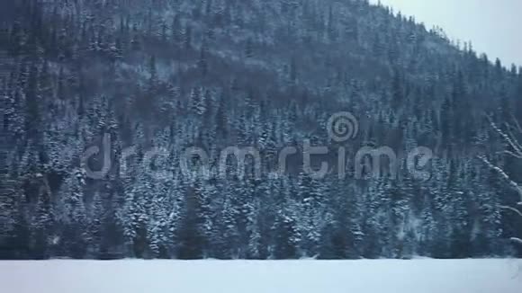 冰冻自然湖泊和森林的全景图视频的预览图