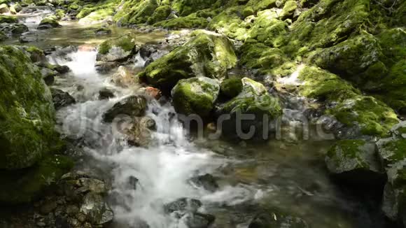狭窄的小溪流淌视频的预览图