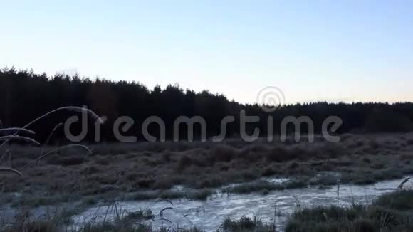 在冰冻的沼泽上黎明全景时间流逝视频的预览图