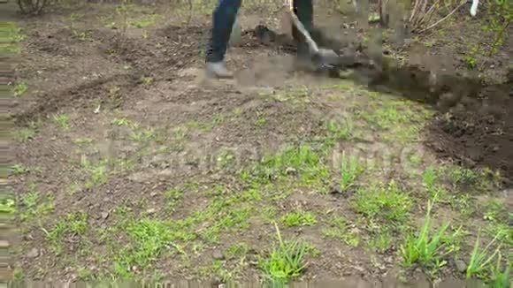 年轻的园丁用铲子在花园里挖地时间间隔视频的预览图