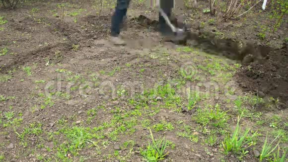 年轻的园丁用铲子在花园里挖地时间间隔视频的预览图