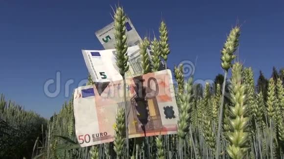 欧元小麦纸币担心的农业经营理念视频的预览图