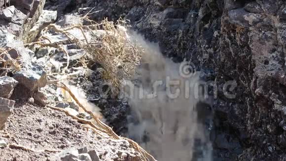 褐色的浑水石灌木丛视频的预览图
