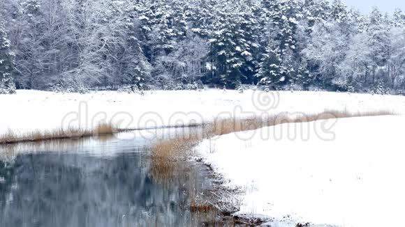 滨河冬季景观视频的预览图