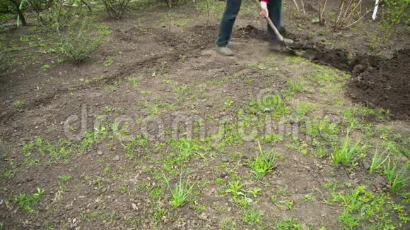 年轻人园丁在花园里用铲子挖地时间流逝视频的预览图