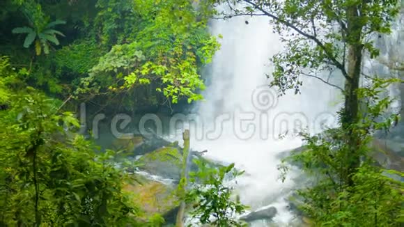 从树上看到瀑布用变焦射击泰国清莱视频的预览图