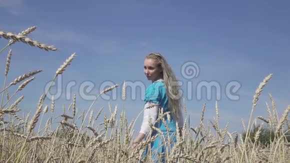在阳光明媚的日子里年轻的女人穿着蓝色的裙子在成熟的麦子里留着一头长长的长发动作缓慢视频的预览图