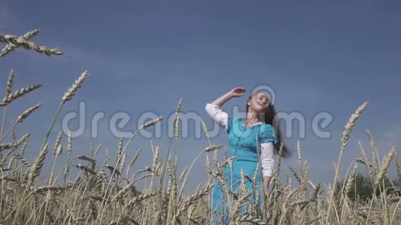 在阳光明媚的日子里年轻的女人穿着蓝色的裙子在成熟的麦子里留着一头长长的长发动作缓慢视频的预览图