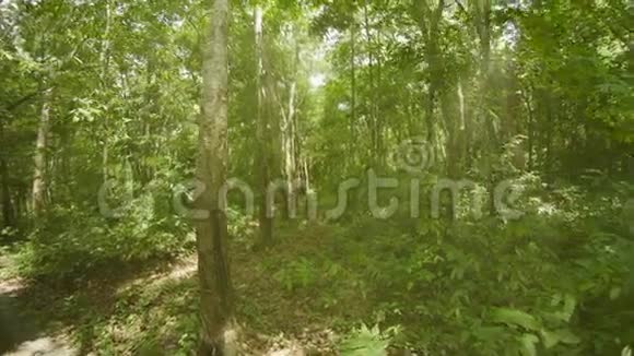 黑娃种植园泰国普吉岛视频的预览图