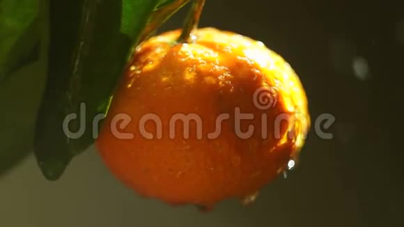橘子水果在水中喷洒视频的预览图