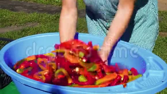 用水洗辣椒视频的预览图