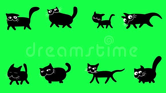 在绿色屏幕上行走的黑猫视频的预览图