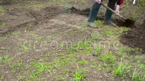 年轻的农夫在花园里用旧脏铲子挖地时间流逝视频的预览图