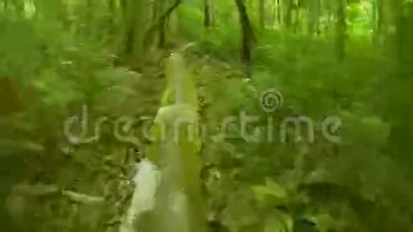 在热带雨林和橡胶树的种植园中快速移动泰国普吉岛视频的预览图