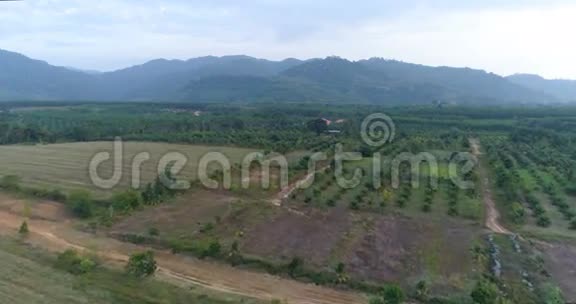 乡村景观泰国空中飞行视频的预览图