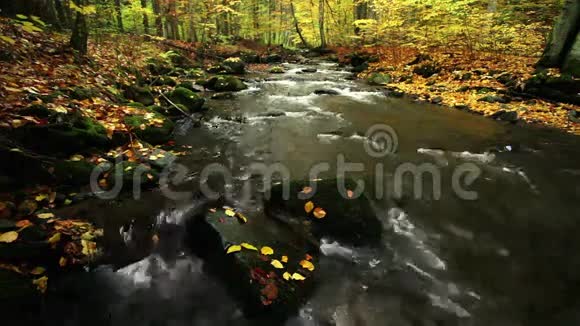秋天的河流伴着大自然的声音视频的预览图