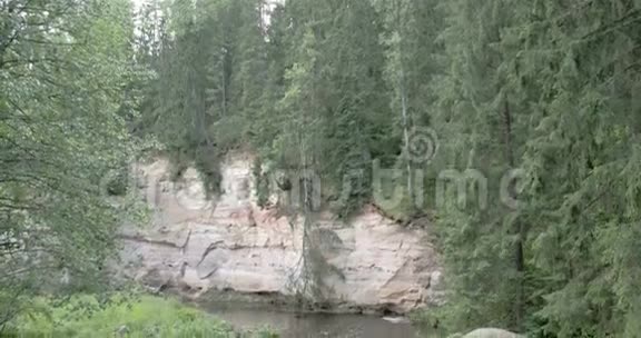 美丽的景色从隐藏的森林与溪流FS700奥德赛7Q4K视频的预览图