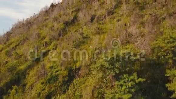 山坡上的树木和植被菲律宾Camiguin岛视频的预览图