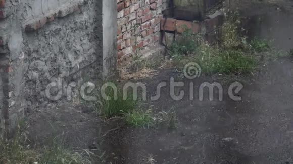 道路雨水道大雨特写镜头视频的预览图