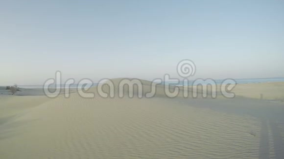 沙漠里的沙子视频的预览图