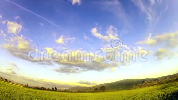 绿色的麦田和多云的天空视频的预览图
