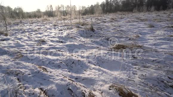 冬季野外背景下的降雪视频的预览图
