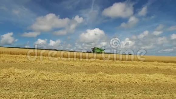 联合收割机在田间收割成熟的小麦视频的预览图