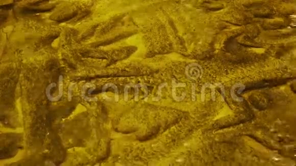 古代符号刻在河底的岩石上柬埔寨金边视频的预览图