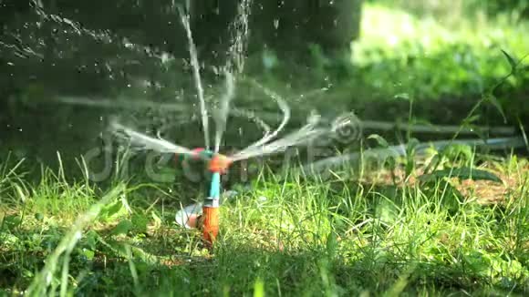 用喷水器浇灌小草视频的预览图