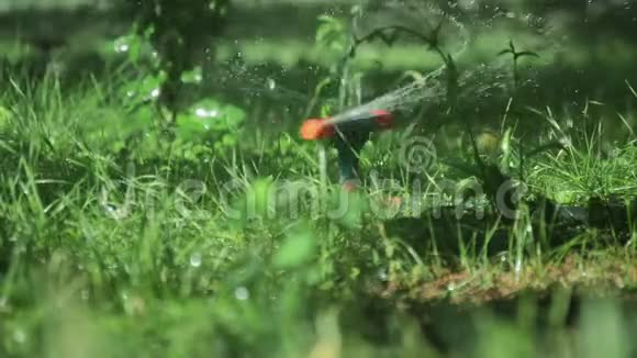 用喷水器浇灌小草视频的预览图