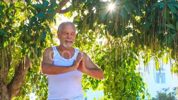 公园里的特写老人做瑜伽视频的预览图
