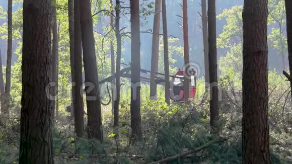 森林采伐伐木伐木木材收割机木材收割机特种设备森林采伐视频的预览图