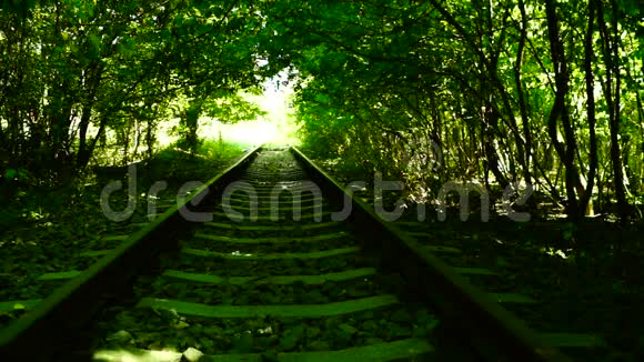 废弃的火车在树林里视频的预览图